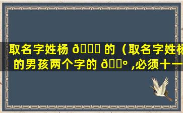 取名字姓杨 🐈 的（取名字姓杨的男孩两个字的 🐺 ,必须十一画的）